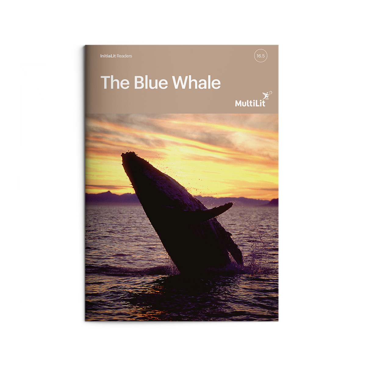 InitiaLit Reader 16.5 The Blue Whale