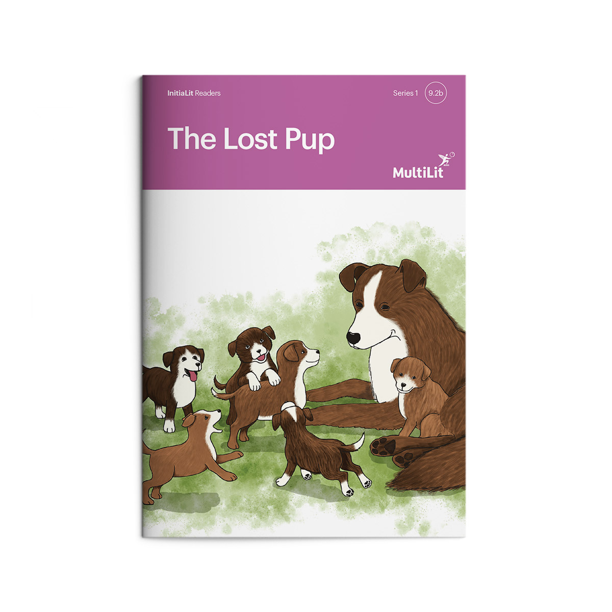 InitiaLit Reader 9.2b The Lost Pup