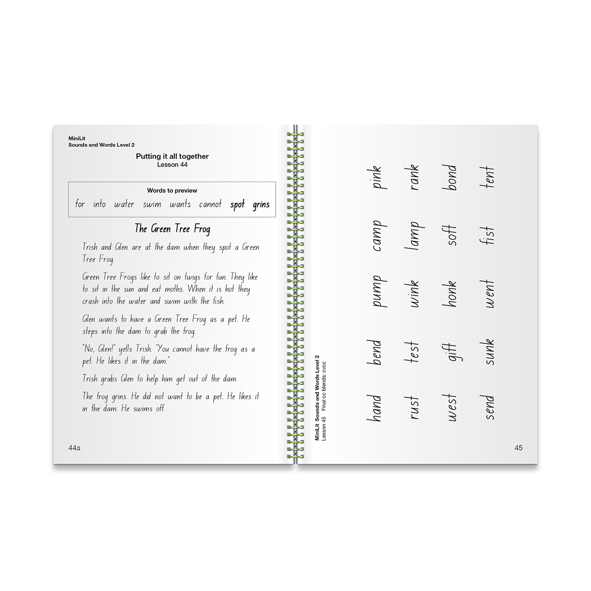 MiniLit Sounds & Words – Level 2 (Pack of 5) - Image 2