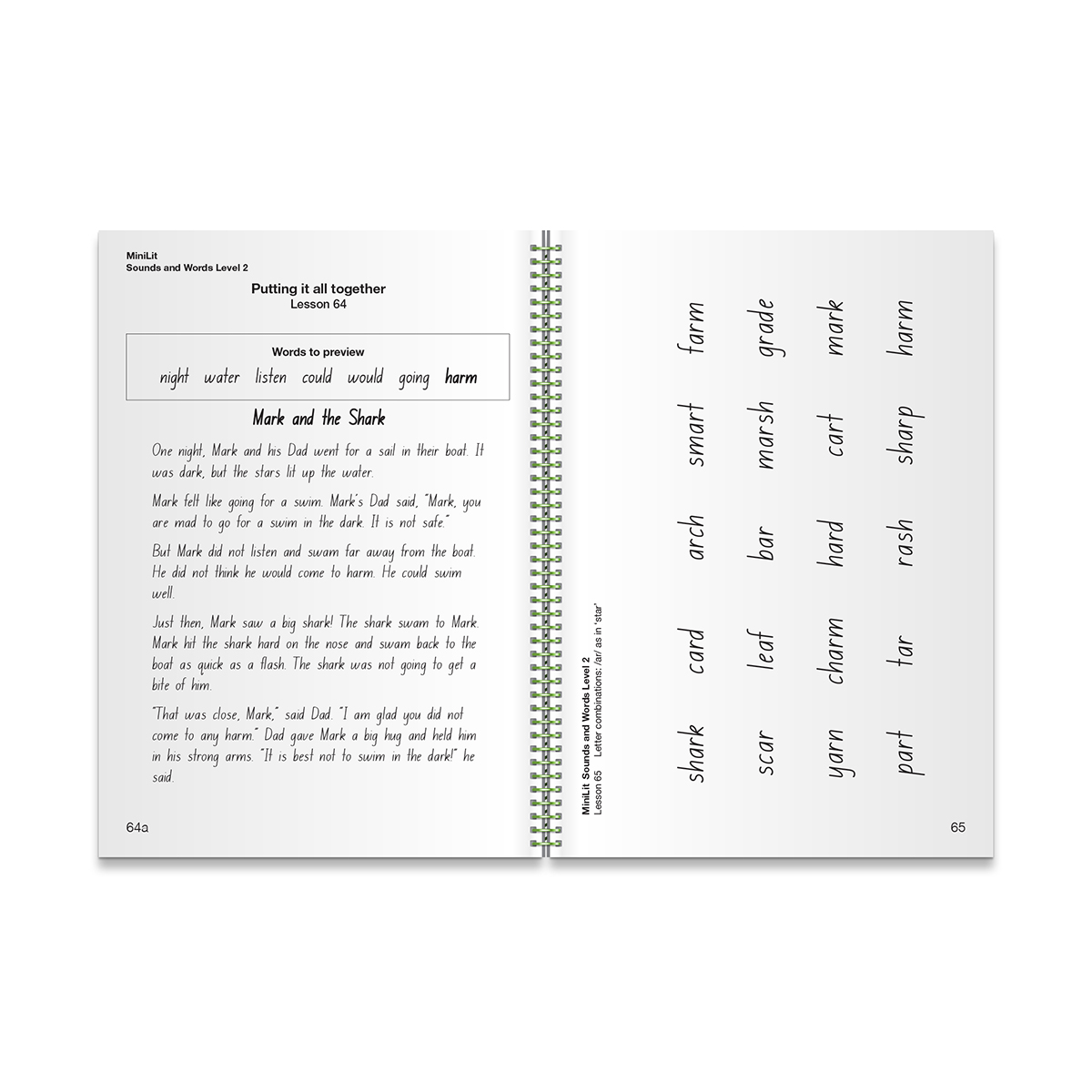 MiniLit Sounds & Words – Level 2 (Pack of 5) - Image 3