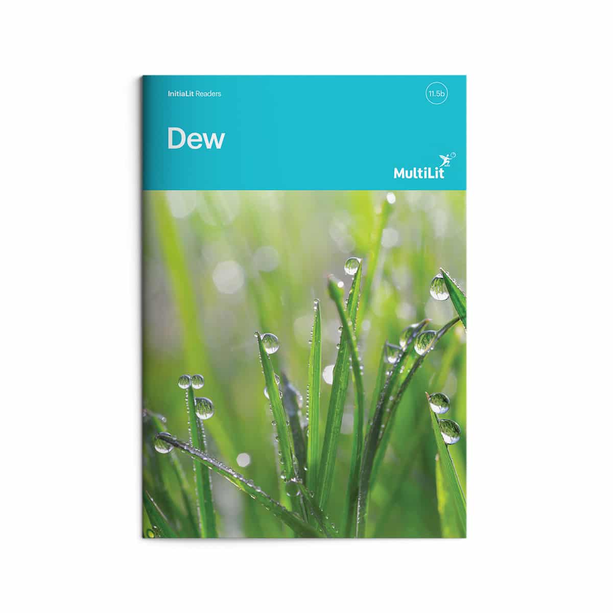InitiaLit Reader 11.5b Dew