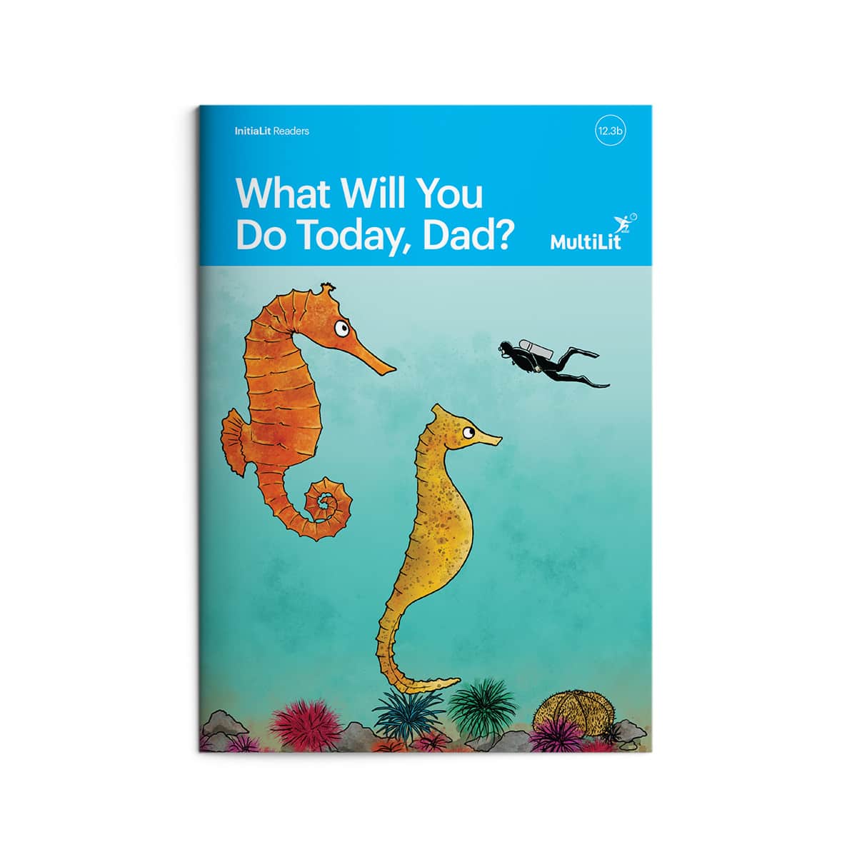 InitiaLit Reader 12.3b What Will You Do Today, Dad?