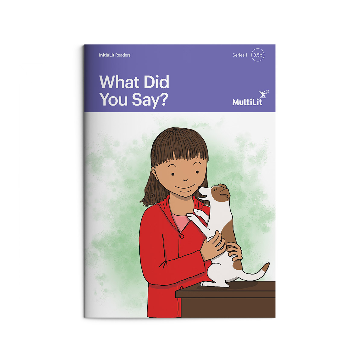 InitiaLit Reader 8.5b What Did You Say?