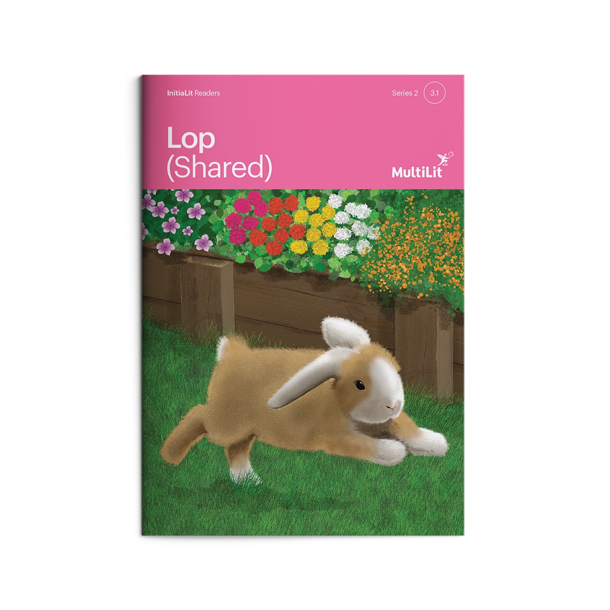 InitiaLit Reader 3.1, Series 2 Lop (Shared)