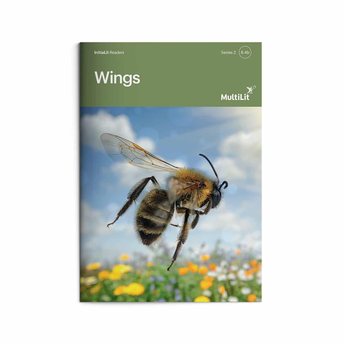 InitiaLit Reader 8.4b Wings