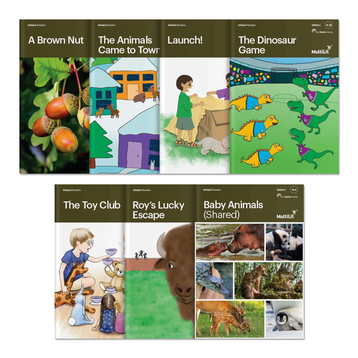 InitiaLit Readers Level 14, The Wattle Series Bundle