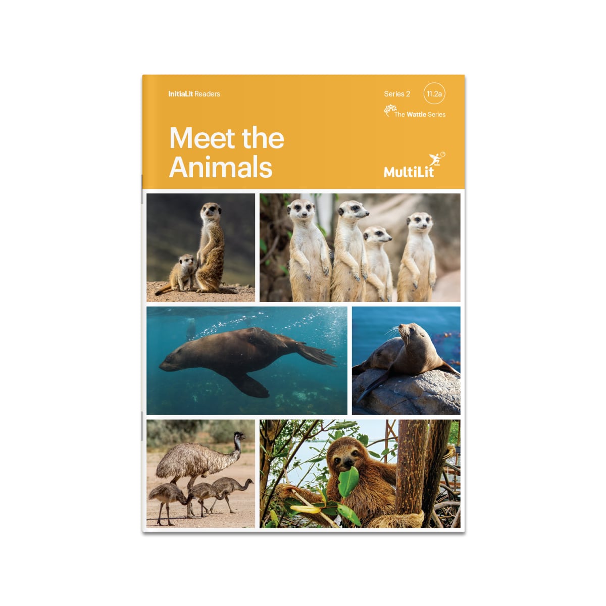 InitiaLit Reader 11.2a Meet the Animals (The Wattle Series)