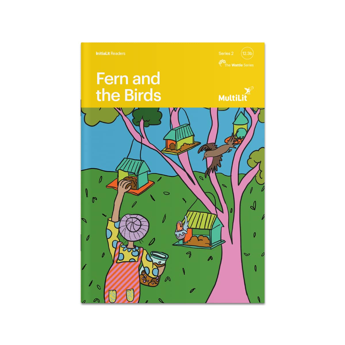 InitiaLit Reader 12.3b Fern and the Birds (The Wattle Series)