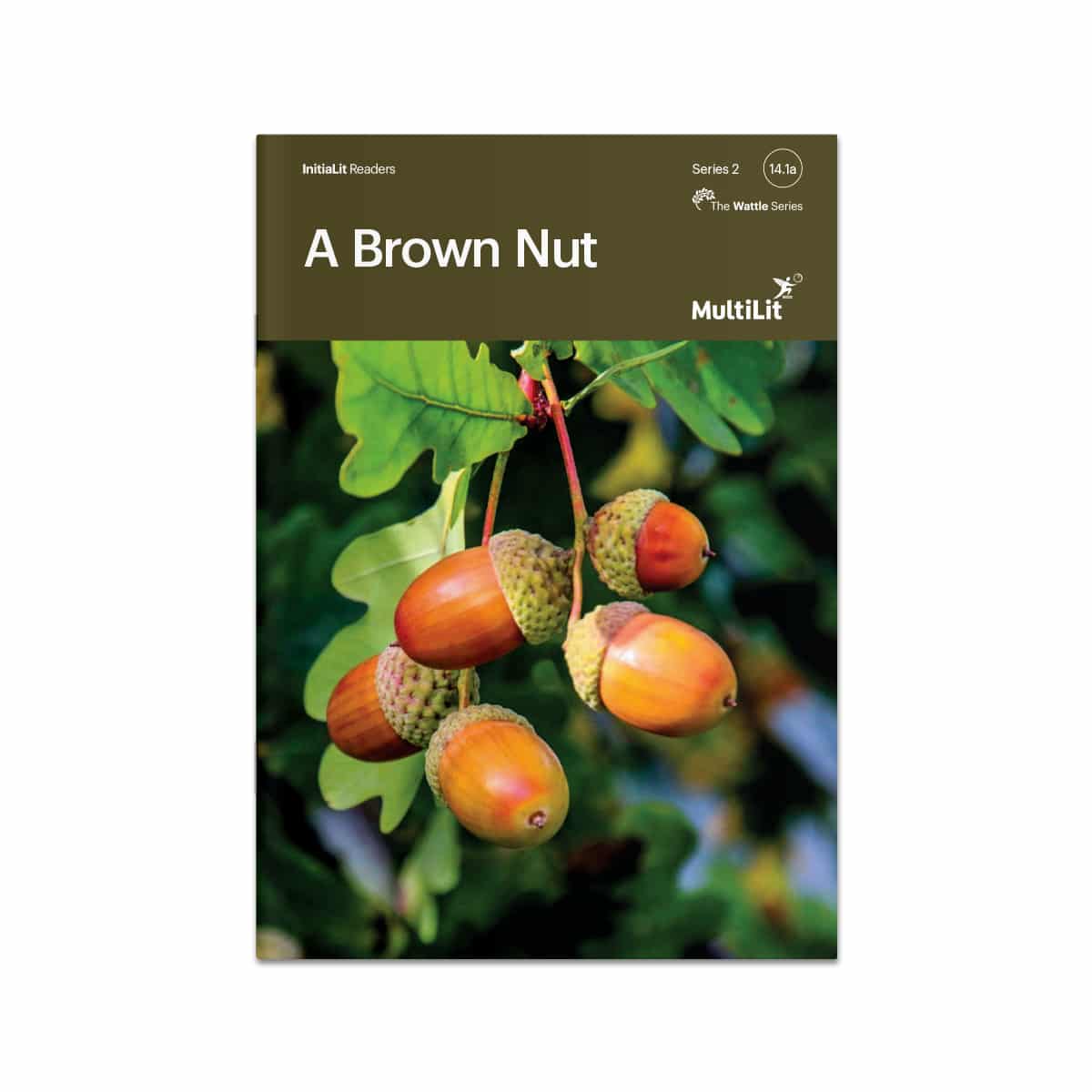 InitiaLit Reader 14.1a A Brown Nut (The Wattle Series)
