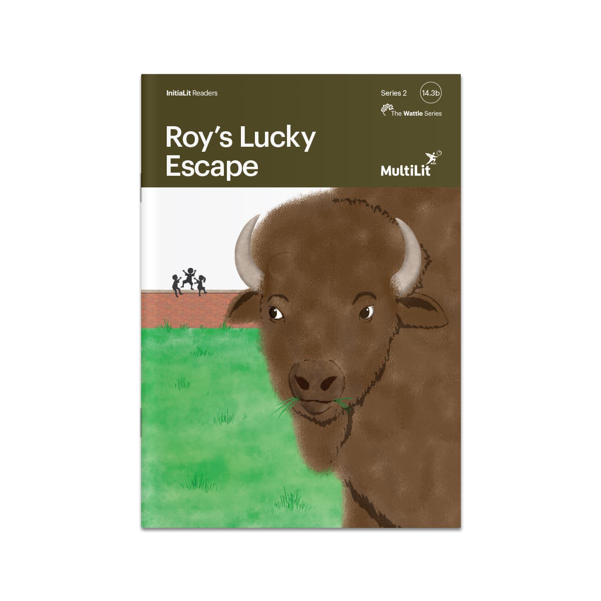 InitiaLit Reader 14.3b Roy's Lucky Escape (The Wattle Series)