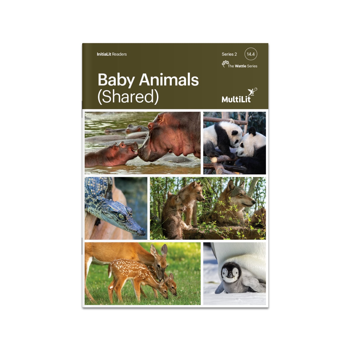 InitiaLit Reader 14.4 Baby Animals (Shared, The Wattle Series)