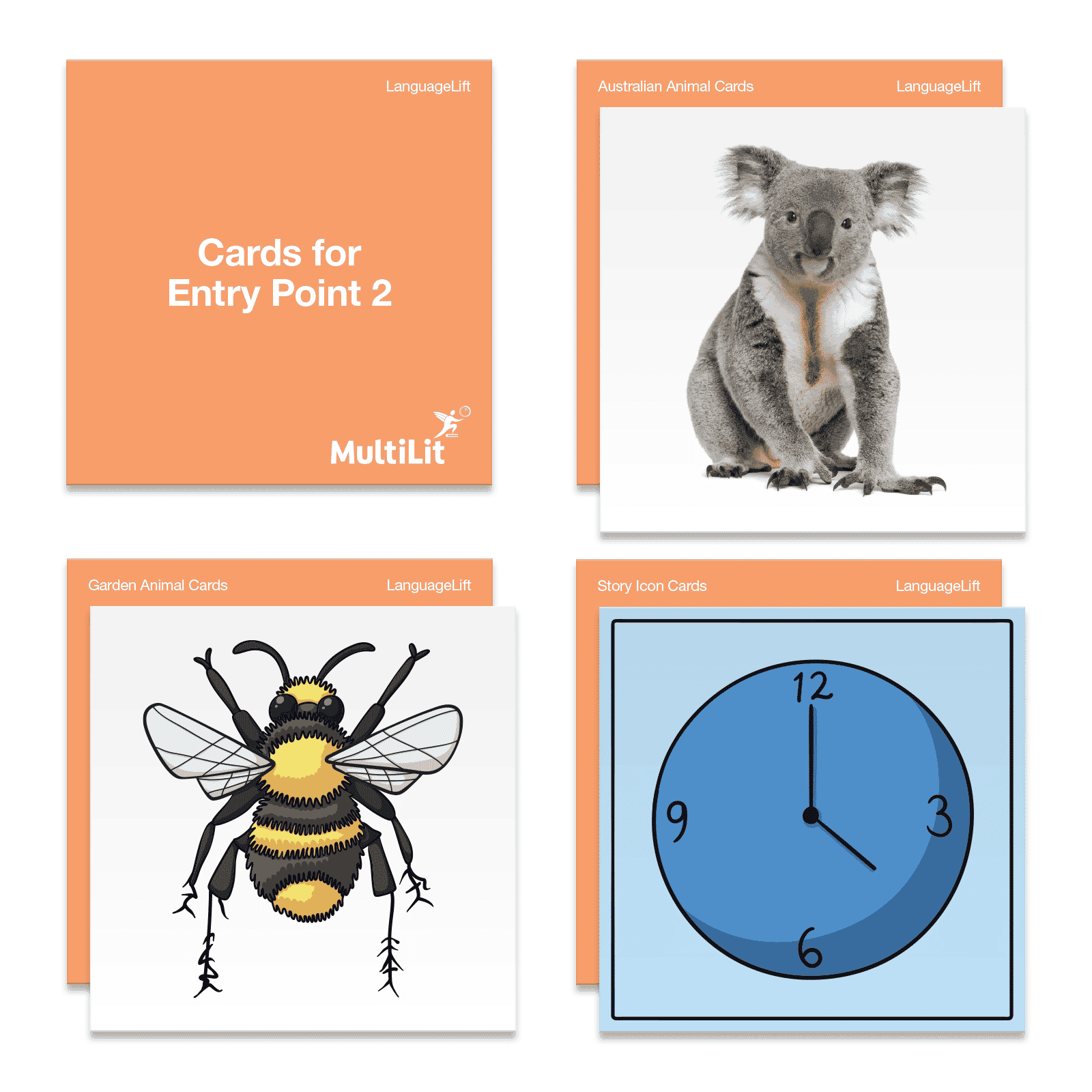 LanguageLift Cards for Entry Point 2