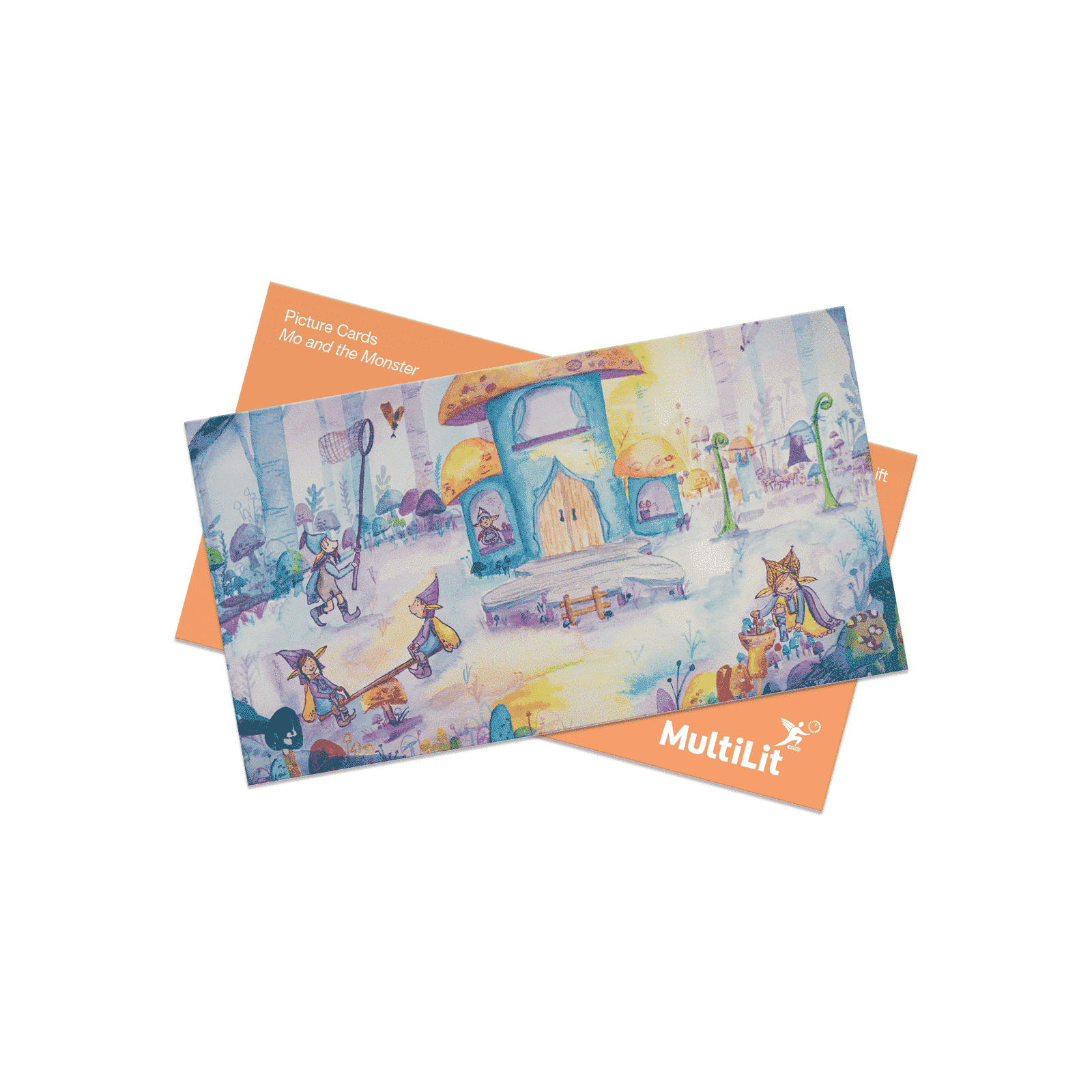 LanguageLift Picture Cards