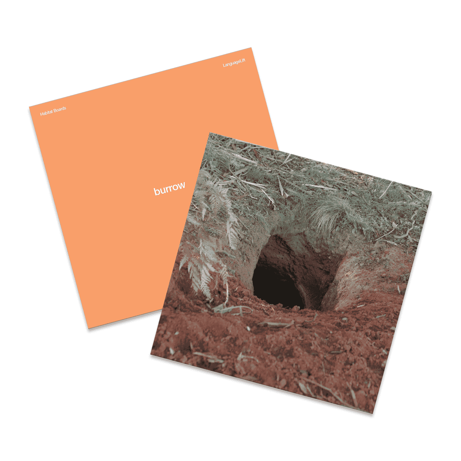 LanguageLift Habitat Boards