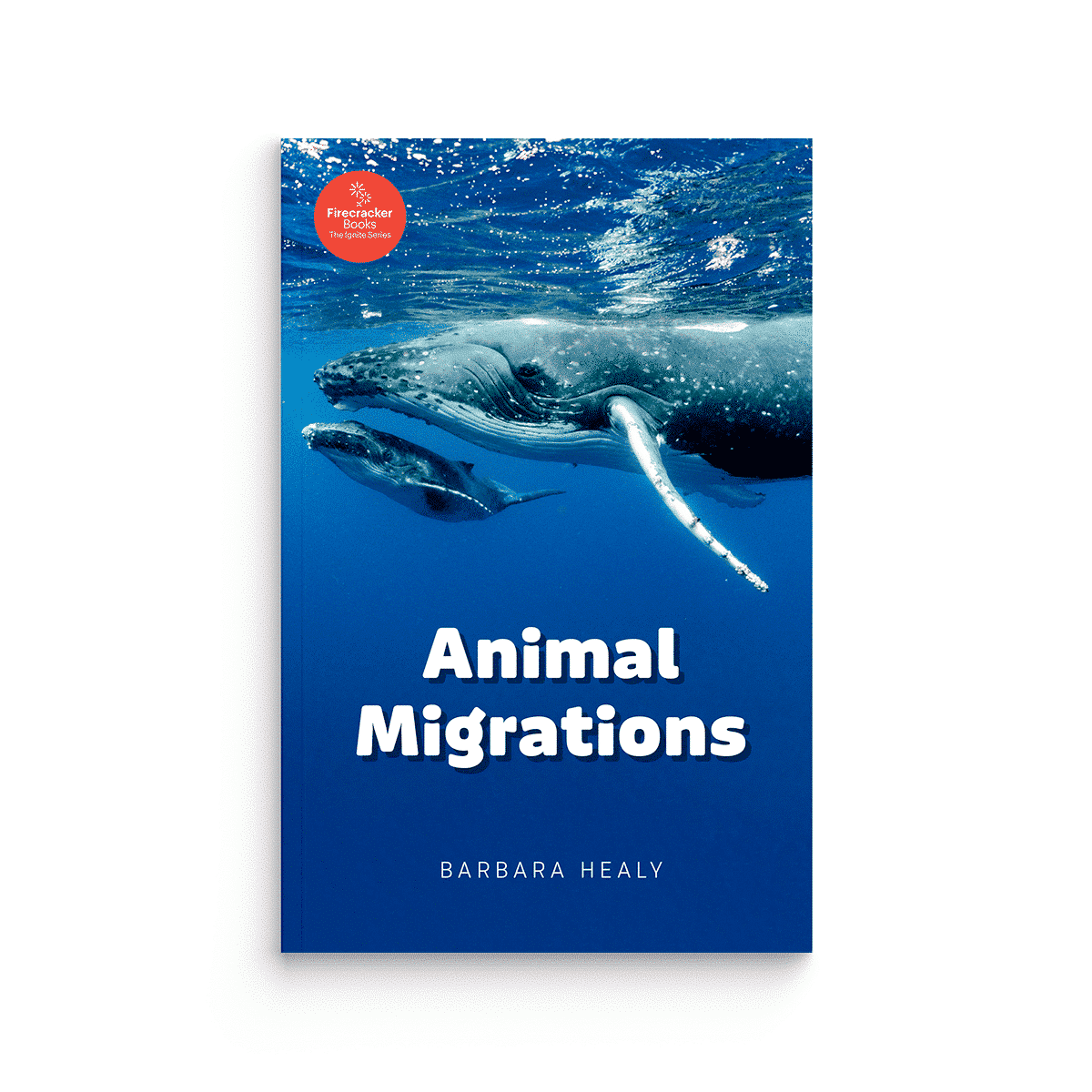Animal Migrations (Firecracker Books, The Ignite Series)