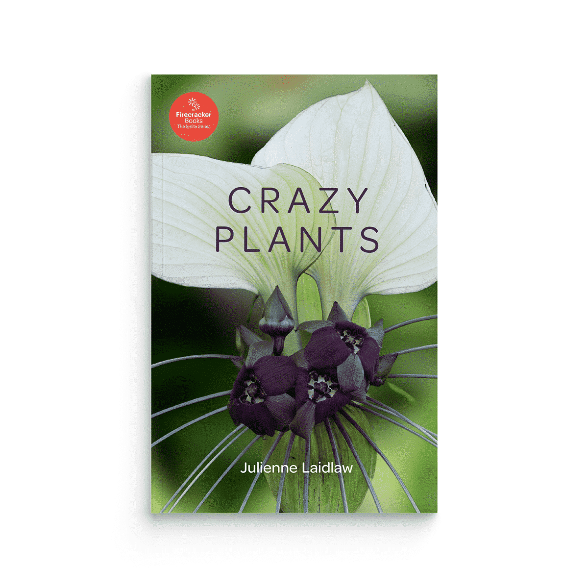 Crazy Plants (Firecracker Books, The Ignite Series)
