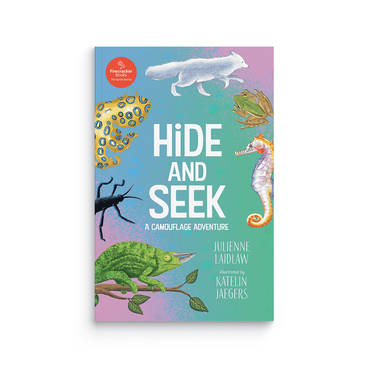 Hide and Seek: A Camouflage Adventure (Firecracker Books, The Ignite Series)