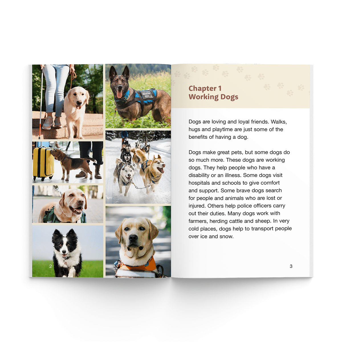 Working Dogs (Firecracker Books, The Ignite Series) - Image 2