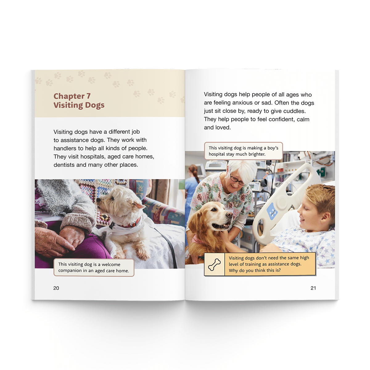 Working Dogs (Firecracker Books, The Ignite Series) - Image 3