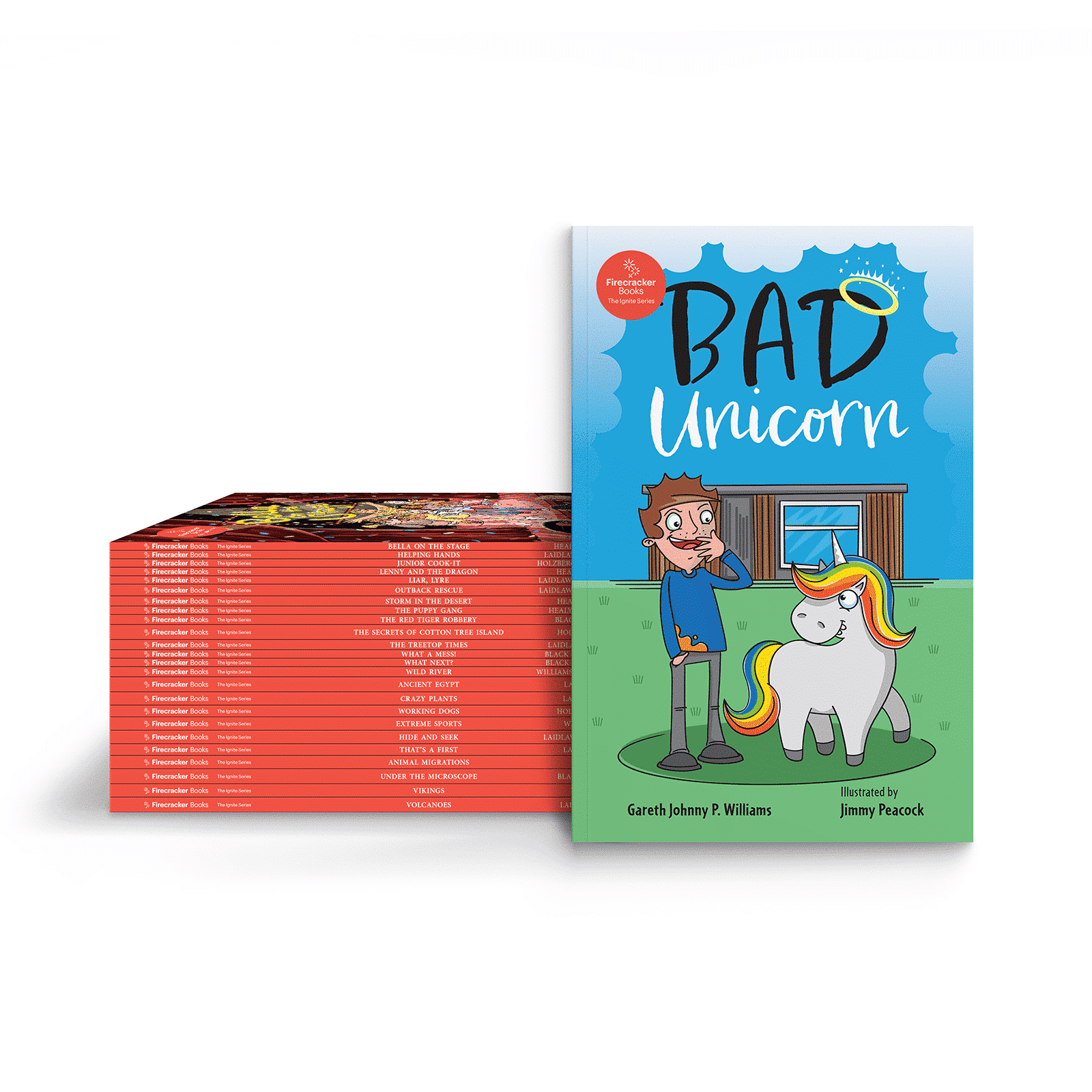 Firecracker Books, The Ignite Series Full Set